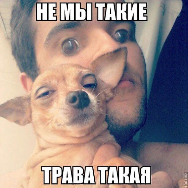    :D - 7  2014  16:09