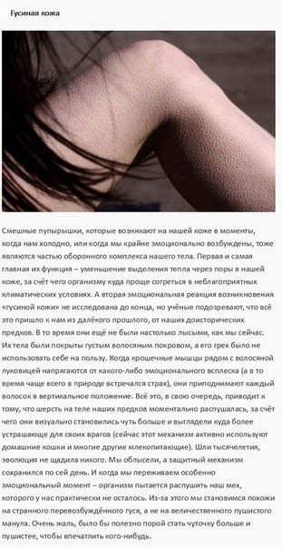   - 11  2014  19:42 - 5