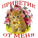 ���� Svetulja, ����, 55 ��� - ��������� 9 ������� 2014 � ������ ������ ��������