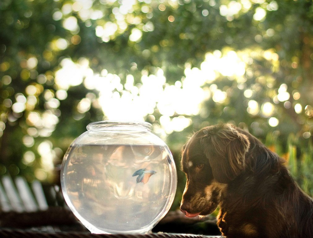       (Jessica Trinh).     ... - 8