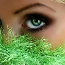 ���� ����������..., ����� - ��������� 19 ������� 2014