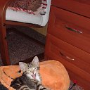 ���� ������, �����-���������, 70 ��� - ��������� 30 ������ 2014 � ������ ��������