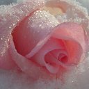  , , 40  -  5  2014   ***