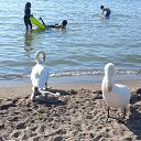 ���� Svetlana, ���������, 62 ���� - ��������� 27 ������� 2014 � ������ ���� ����������