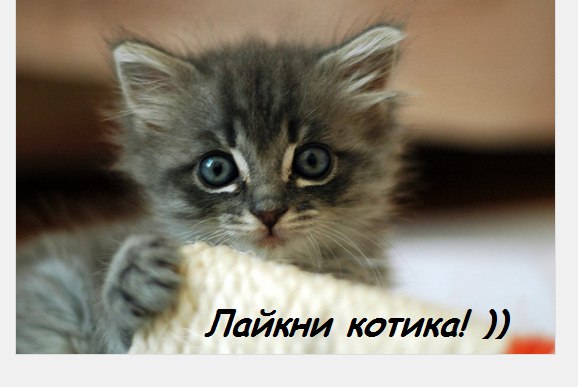 •°https://fotostrana.ru/away?to=/sl/68D2 - 23  2014  10:05