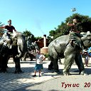 ���� �������, ������, 62 ���� - ��������� 24 �������� 2014