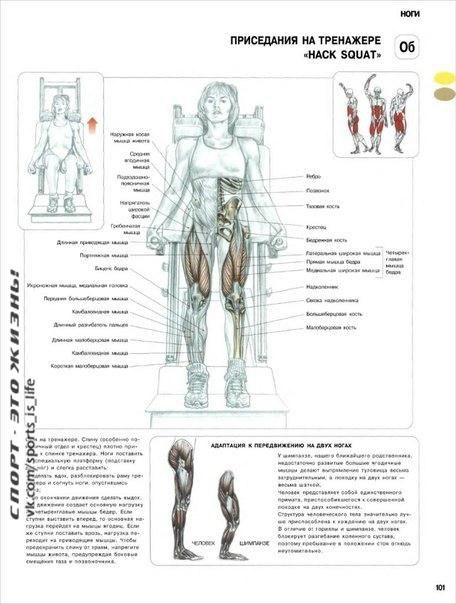        . #SPORT_@sports_is_life - 7