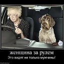 ���� ������, ����, 57 ��� - ��������� 6 �������� 2014 � ������ ������ ��������