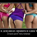 ���� Ws, �����������, 66 ��� - ��������� 28 ������ 2014 � ������ ���� ����������