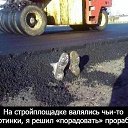 ���� �����, �����, 47 ��� - ��������� 3 ������ 2014 � ������ ������ ��������