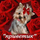 ���� �����, ������ - ��������� 7 �������� 2014 � ������ ������ ��������