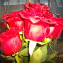 28.08.14� �� ������� ���� ����������