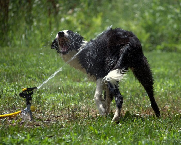  :   .           ... - 10