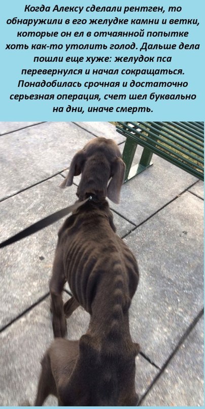    :-) - 28  2014  18:42 - 2