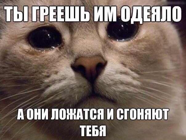  - 20  2014  01:04