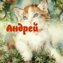 ���� A�����, ʸ��� - ��������� 24 ������� 2014 � ������ ���� ����������