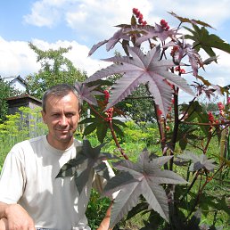 ��� ������� �� ����!