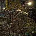 ���� ���� ���������, �������, 76 ��� - ��������� 11 ������� 2014 � ������ ����� ���������� ���������.�