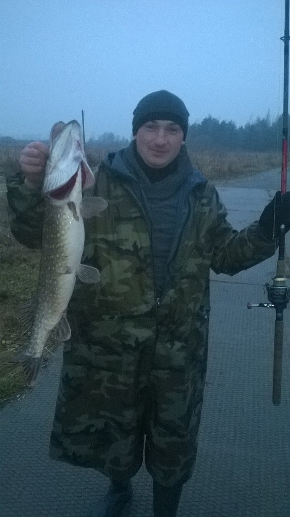 ����� ������� - 11 ������ 2014 � 10:33 - 3