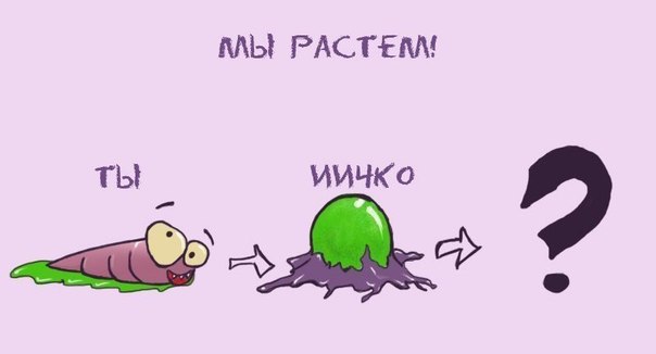  Starcraft`a 