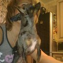 ���� �������, ����������� - ��������� 28 �������� 2014 � ������ �������� http://vkontakte.ru/app2257829�