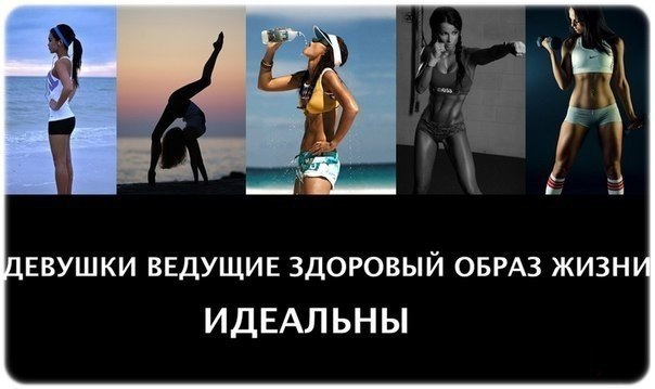 SportFeed - 11 �������� 2014 � 20:25