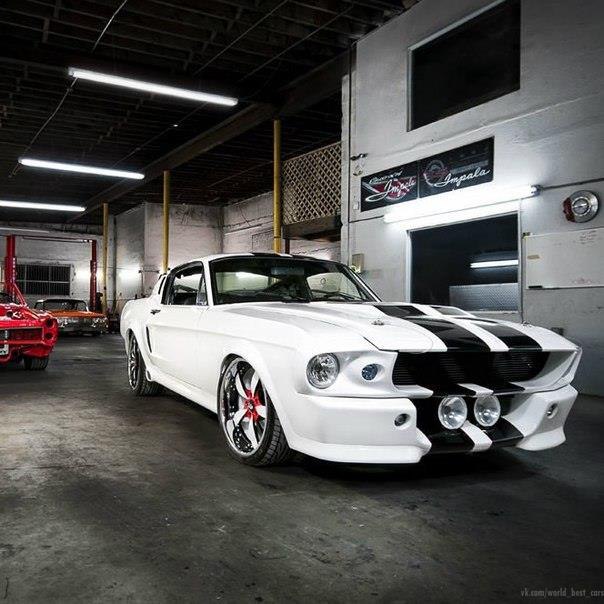 1967 Ford Shelby