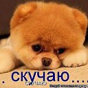 ���� Muhribbin, �����������, 33 ���� - ��������� 2 ������� 2014 � ������ ���� ����������