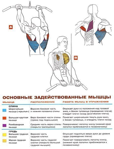 Как качать крылья в зале