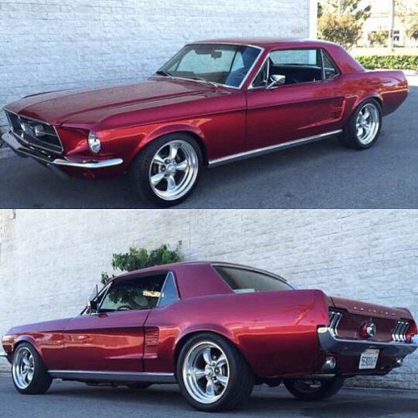 Mustang - 10