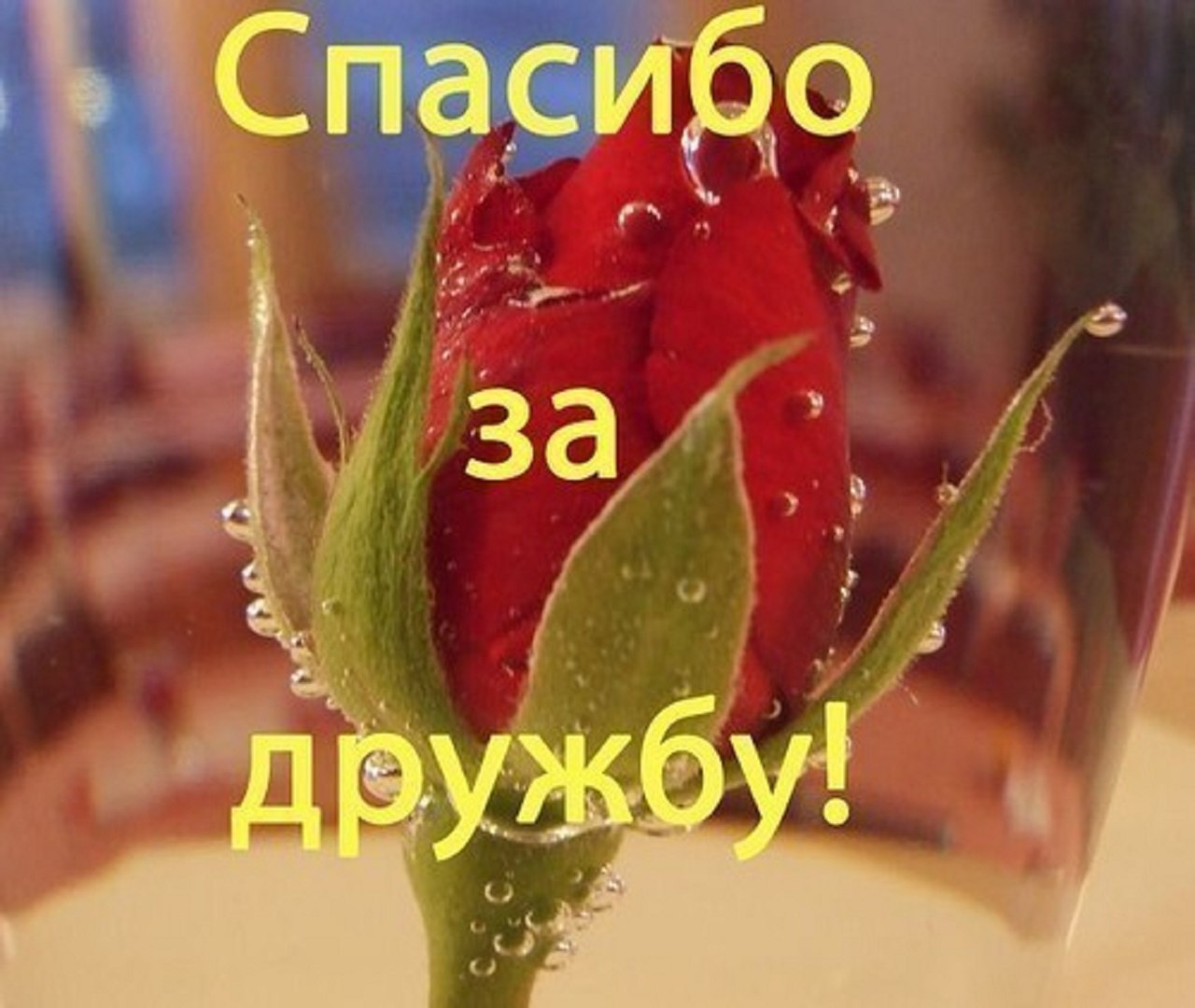--