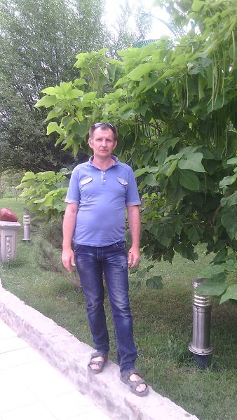 : , 55 ,      