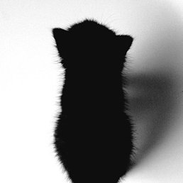 ������, ������