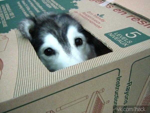   ,    ,     ,   . - 7