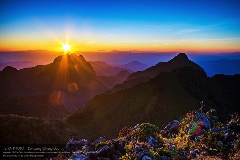  Tatree Thitivong. - 8
