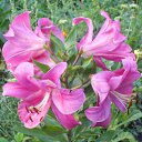 ���� ��������, ������ - ��������� 9 �������� 2014 � ������ ������ ��������