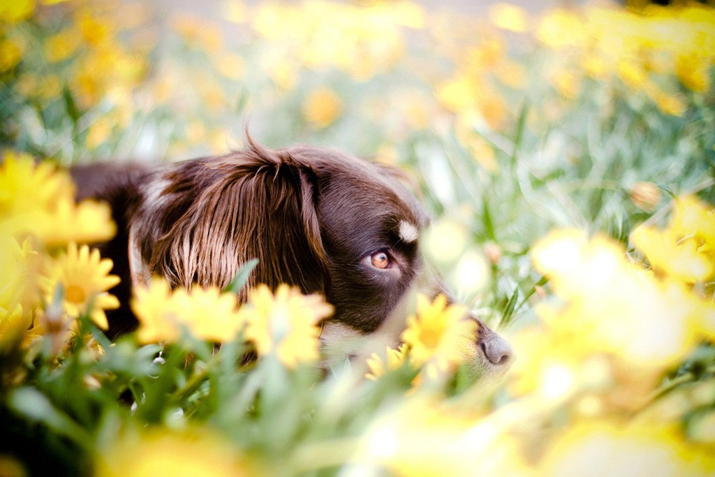       (Jessica Trinh).     ... - 9