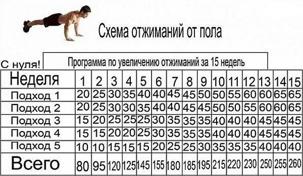    .  ,        ! - 6