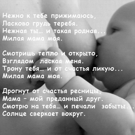 Счастливая семья - 6 ноября 2014 в 17:08