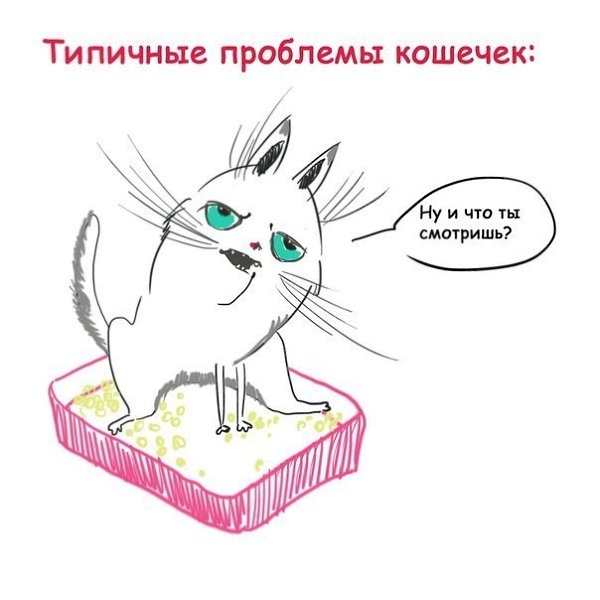 Art & Fun - 26 ������� 2014 � 06:20