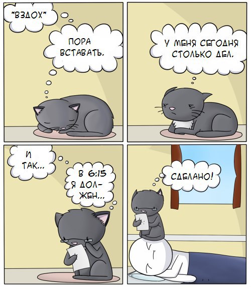 :3