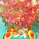 ���� �������, �����������, 71 ��� - ��������� 30 �������� 2014 � ������ ���� ������� �������