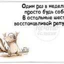 ���� ˸��, �����, 33 ���� - ��������� 15 ������� 2014 � ������ ������ ��������