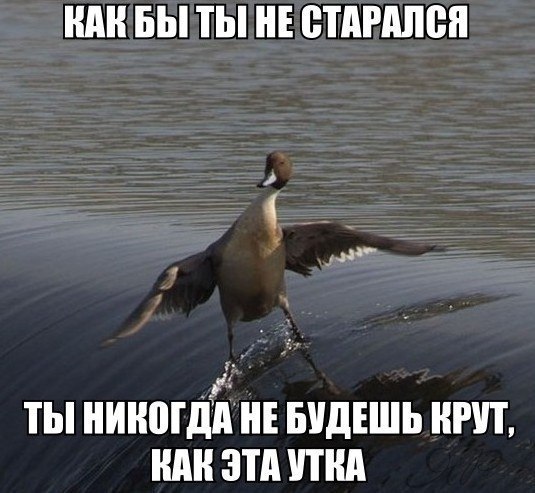 ��������� � ������,��� ���� ��������: <a href=