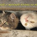 ���� ������, ������ - ��������� 14 �������� 2014 � ������ ������ ��������