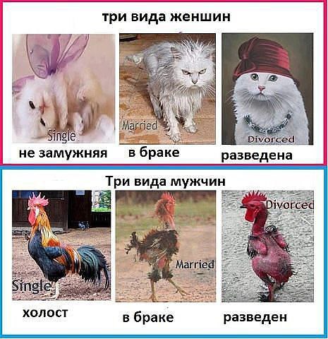   - 13  2014  11:23