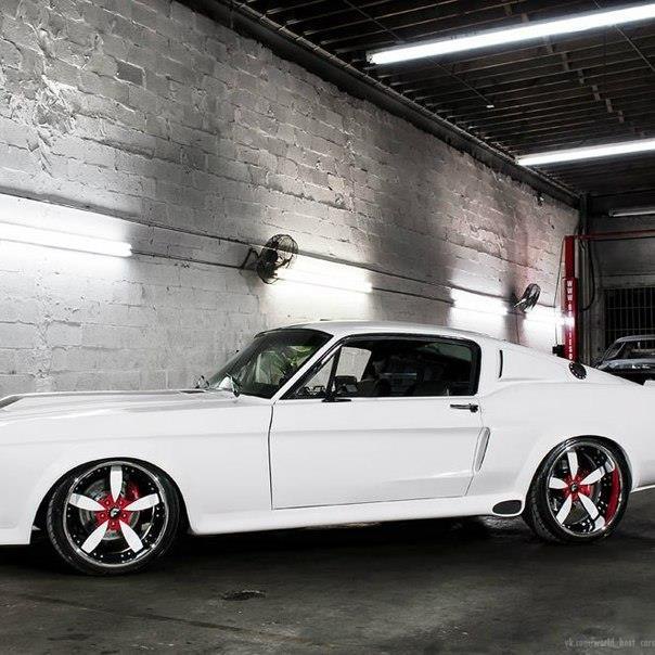 1967 Ford Shelby - 5