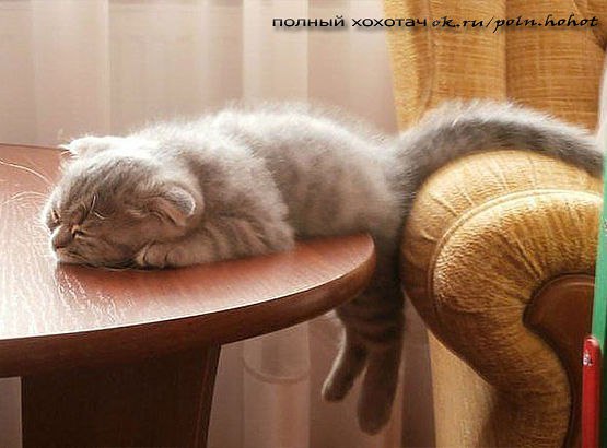     ,  - !=)