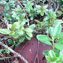 ���� ������, �����-���������, 70 ��� - ��������� 28 ������� 2014 � ������ ������ 2014�