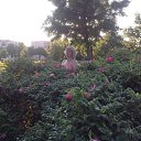 ���� Irina, �����, 62 ���� - ��������� 17 ������ 2014 � ������ ���� ����������